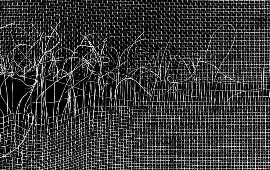 The Hidden Costs of Damaged Filter Panels in Farming Aquaculture-featured-image