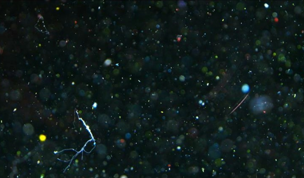 Microplastics at Home: Why Household Filters Make a Difference-featured-image